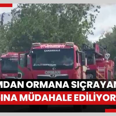 Çanakkalede tarım arazisinde başlayıp ormana sıçrayan yangına müdahale ediliyor