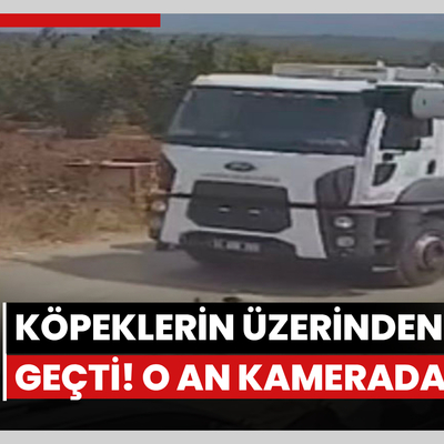 Köpeklerin üzerinden geçti!