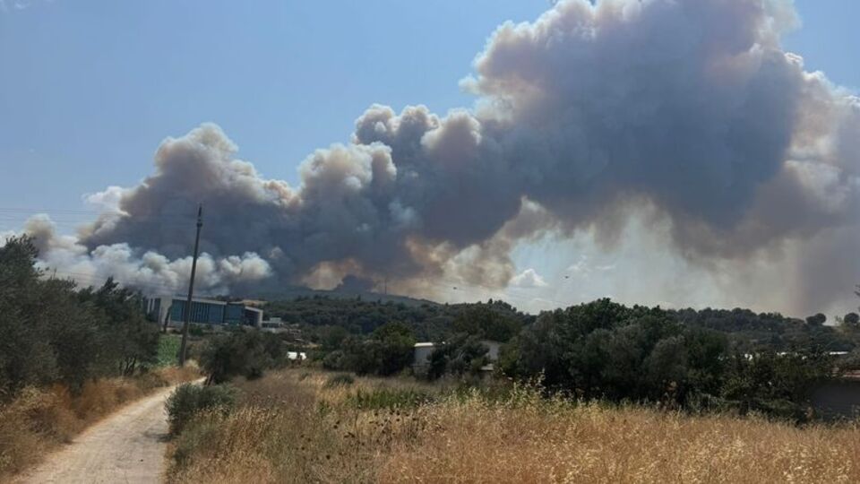 Tarım arazinden ormana sıçradı!