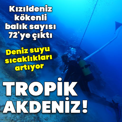Tropik Akdeniz!