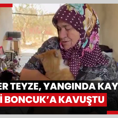 Çanakkalede orman yangınında kaybettiği kedisi "Boncuk"a kavuşan Kevser teyze mutlu oldu