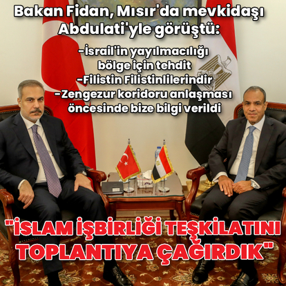 Mısır: Türkiye ile Suriye konusunda mutabıkız