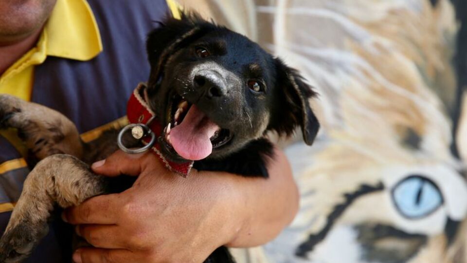 Zifte saplanmıştı, yaşama tutundu!