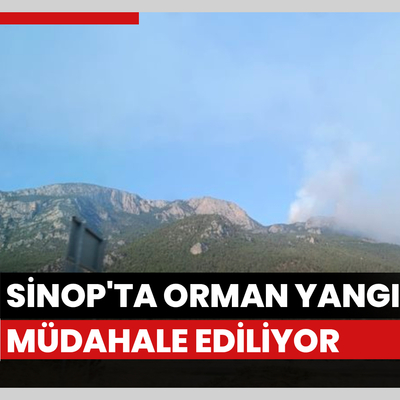 Sinop'ta orman yangını