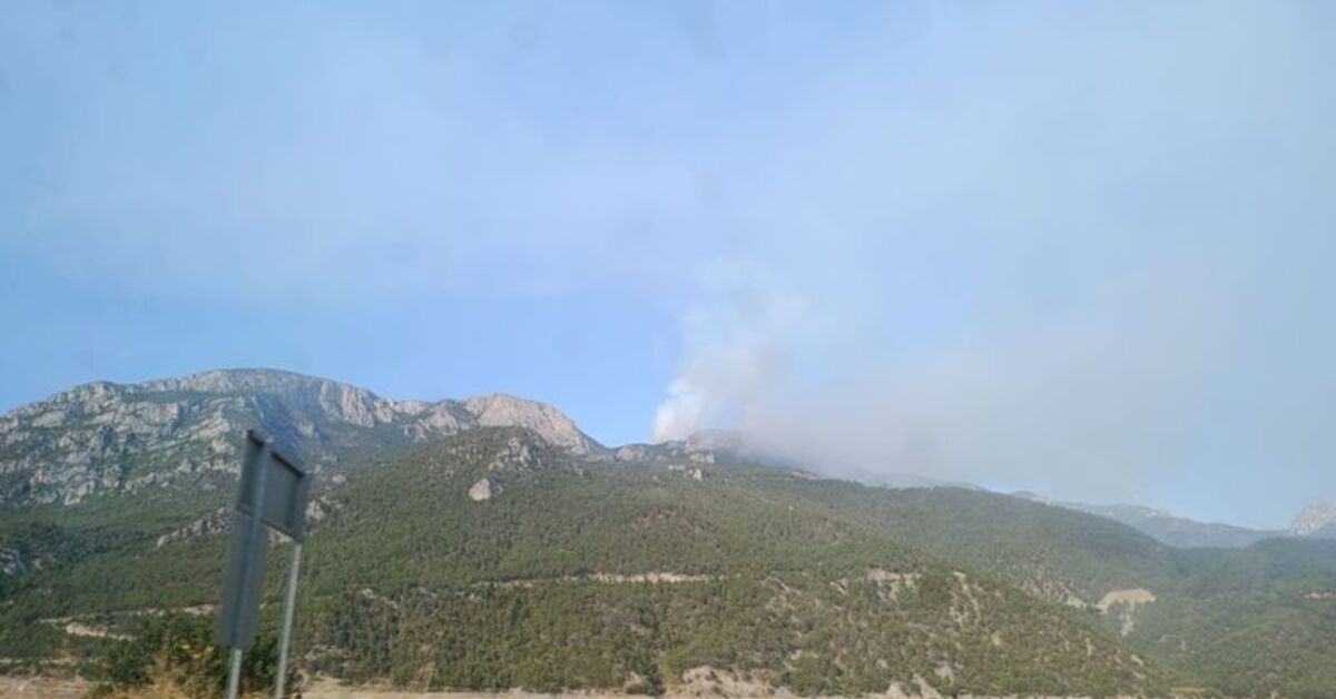 Sinop’ta ve aksaray’da orman yangıni