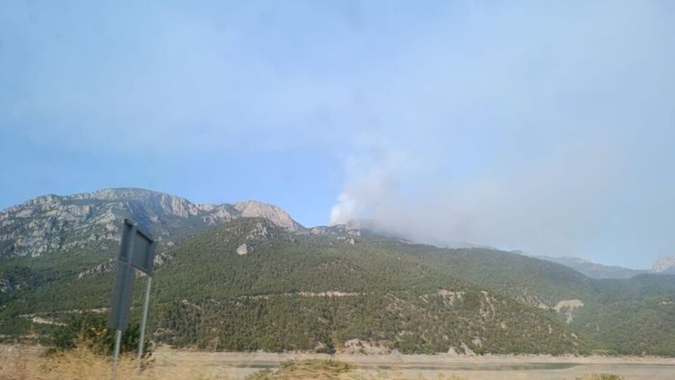 Üç kentte orman yangını