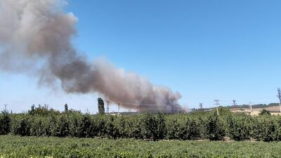 Çanakkale ve Sinop'ta orman yangını