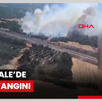 Çanakkale’de orman yangını