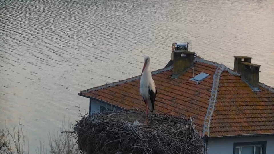 Yaren leyleğin depremi hissettiği anlar kamerada