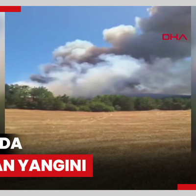Bolu'da orman yangını
