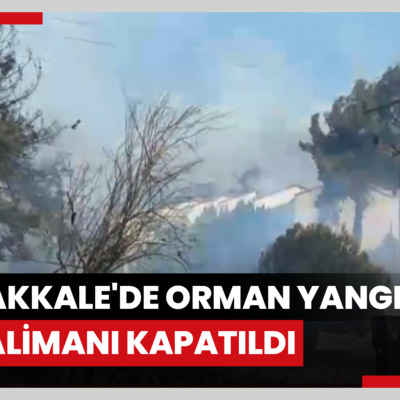 Çanakkale'de orman yangını havalimanı kapatıldı