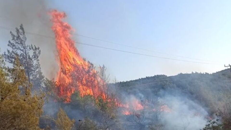 Hatay'da ormanlık alanda yangın çıktı