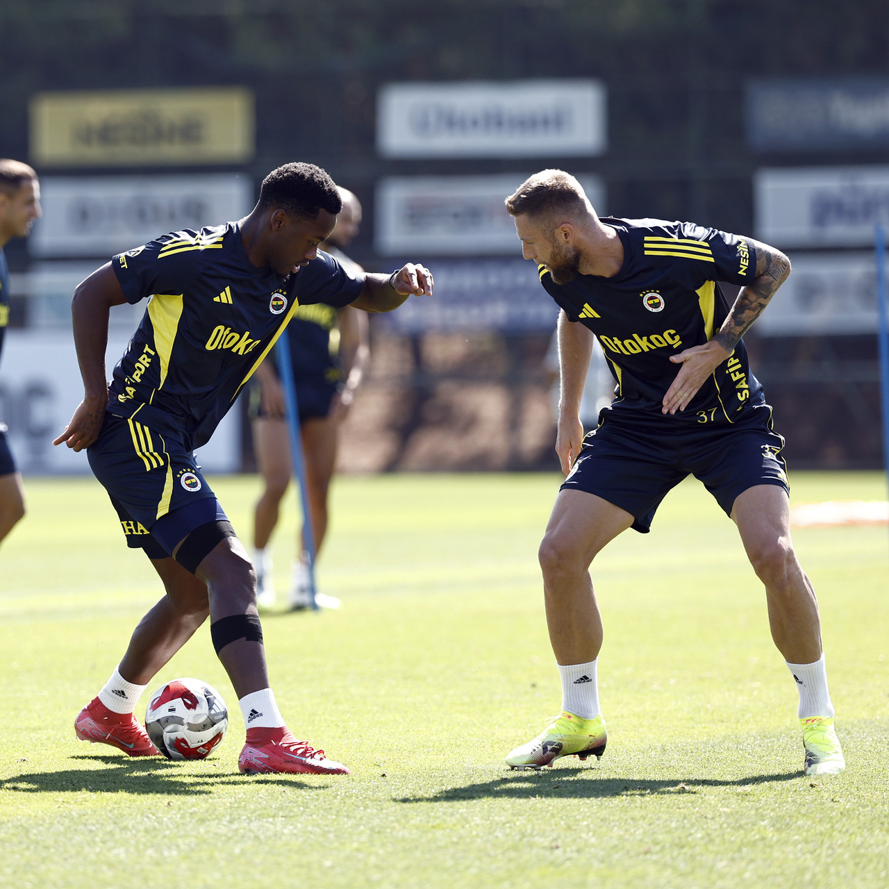 Fenerbahçe, Feyenoord'a hazır!