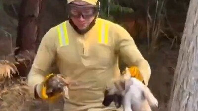 Alevlerden böyle kurtardı!