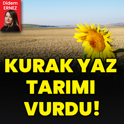 Kurak yaz tarımı vurdu!