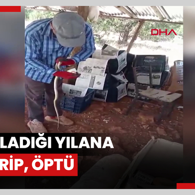 Yakaladığı yılana su içirip, öptü