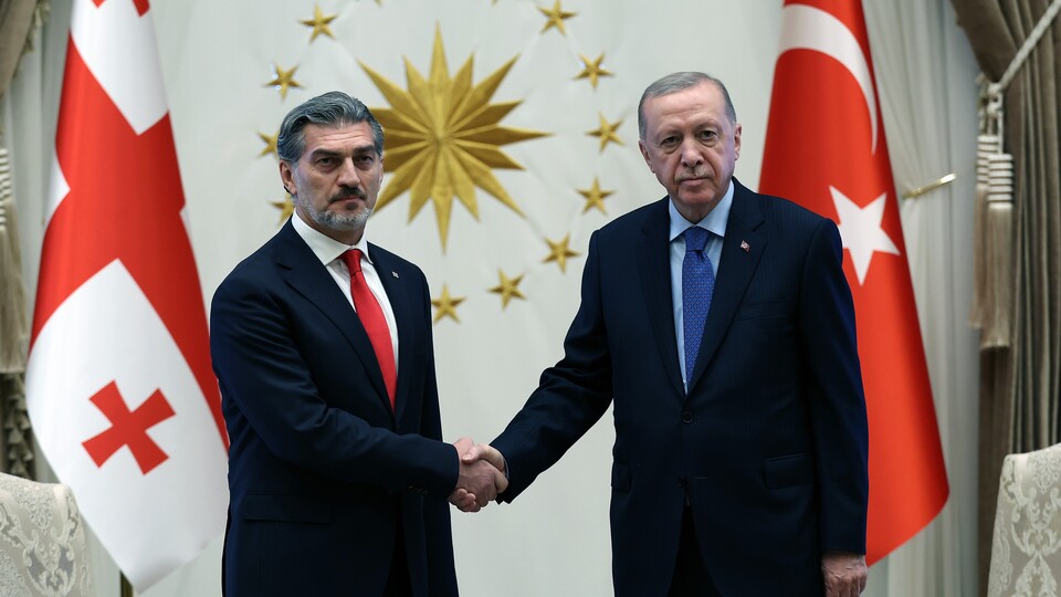 Cumhurbaşkanı Erdoğan: Gürcistan'la ortaklığımız ilerleyecek