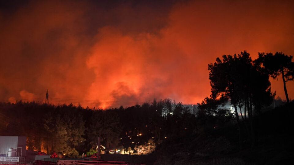 Manisa, Uşak, İzmir, Antalya ve Osmaniye'de yangın