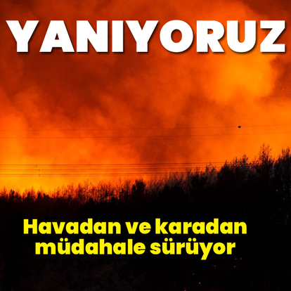 Manisa, Uşak, İzmir, Antalya ve Osmaniye'de yangın