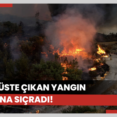 İzmir'de minibüste çıkan yangın ormana da sıçradı