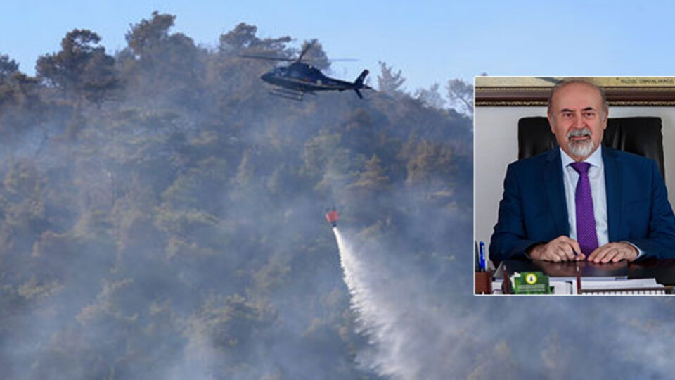 Orman yangınları neden pik yaptı?