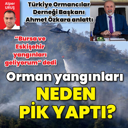 Orman yangınları neden pik yaptı?