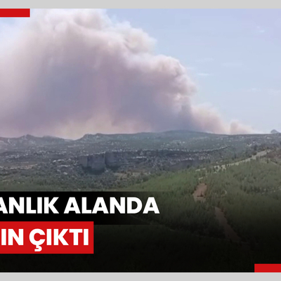 Ormanlık alanda yangın çıktı