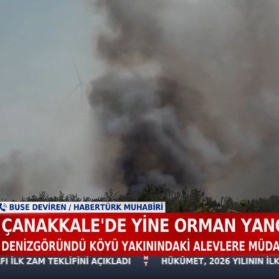 Çanakkale'de orman yangını