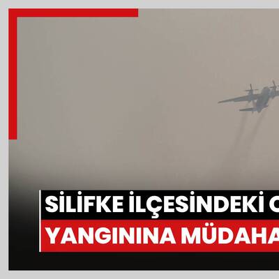 Silifke ilçesindeki orman yangınına müdahale sürüyor