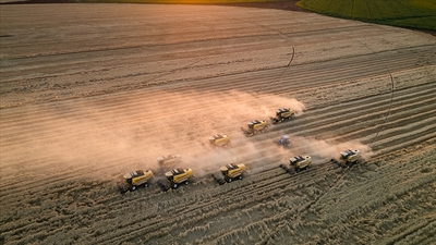 Tarım-ÜFE aylık bazda düşüşte