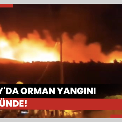 Hatay'da orman yangını ikinci gününde