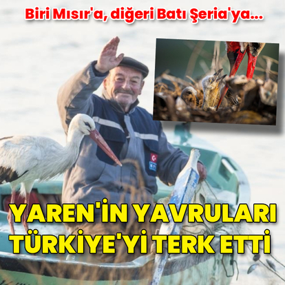 Yaren leyleğin yavruları göç yolculuğuna başladı