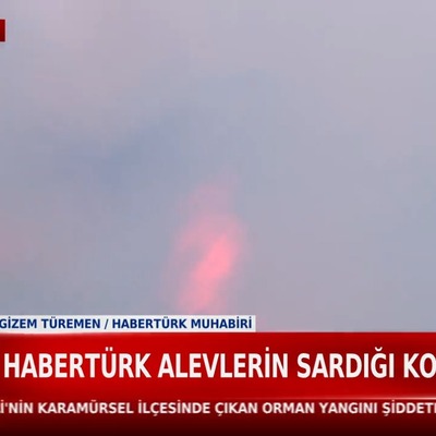 Kocaeli'de orman yangını