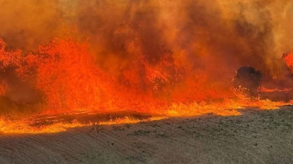 Orman yangınlarında son durum!