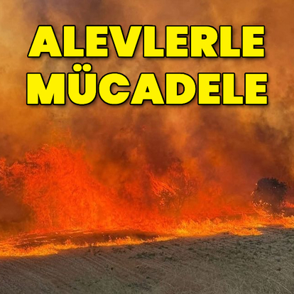 Orman yangınlarında son durum!