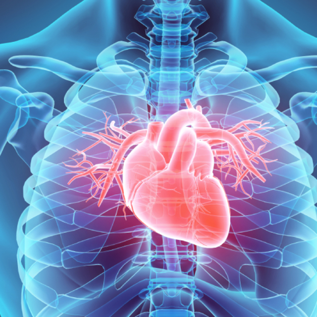 Kardiyologlar uyarıyor: Es geçmemeniz gereken 9 ilginç semptom