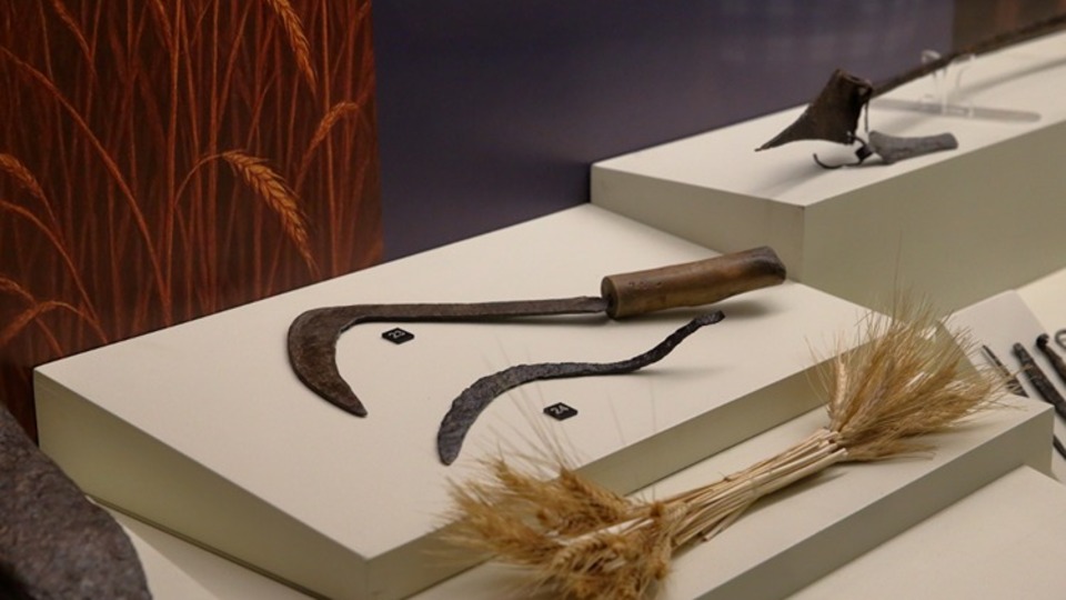 Biri 2 bin 800 yaşında, diğeri Osmanlı dönemine ait