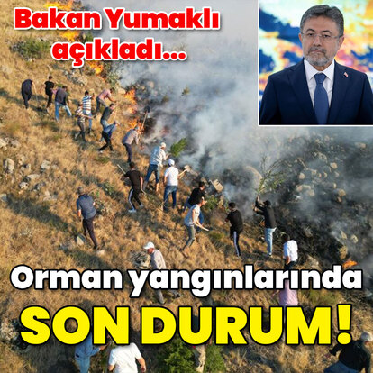 Bakan Yumaklı açıkladı... Orman yangınlarında son durum!