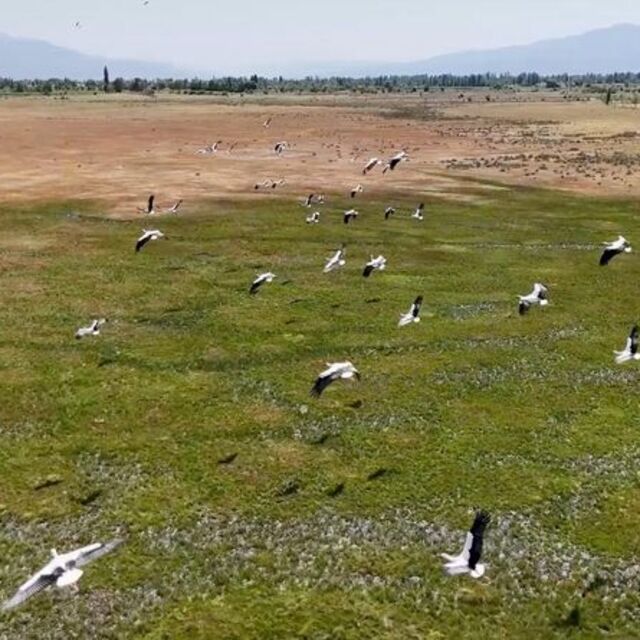 Afrika'dan yola çıkıp Erzincan'a ulaştılar