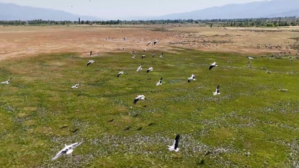 Afrika'dan yola çıkıp Erzincan'a ulaştılar