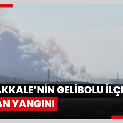 Çanakkale’nin Gelibolu ilçesinde orman yangını