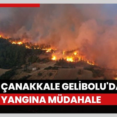 Çanakkale’nin Gelibolu ilçesinde orman yangını