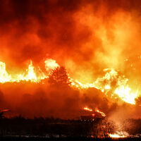 Gelibolu'da orman yangını