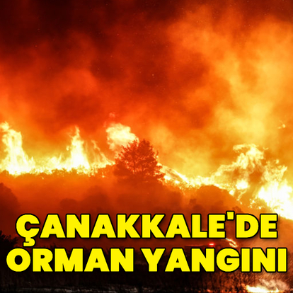 Gelibolu'da orman yangını