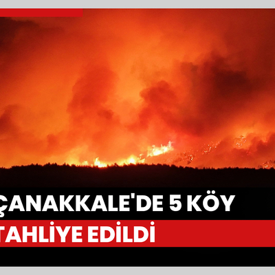 Çanakkale'de çıkan orman yangınında 5 köy tahliye edildi