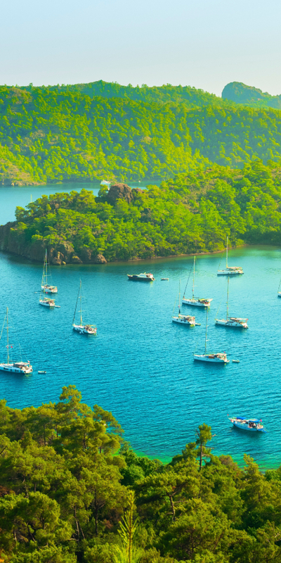 Kaç tanesine gittiniz?