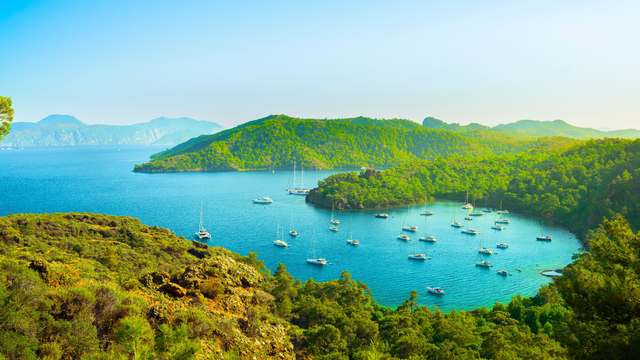 Kaç tanesine gittiniz?