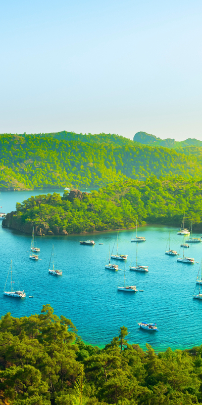 Kaç tanesine gittiniz?