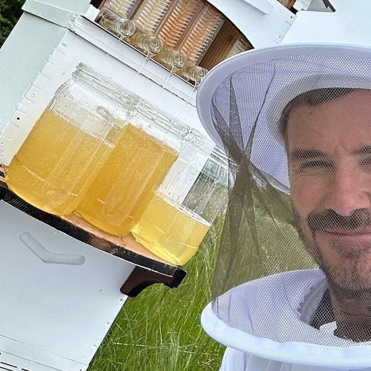 Arıcı Beckham