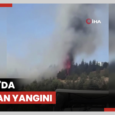 Bala'da orman yangını